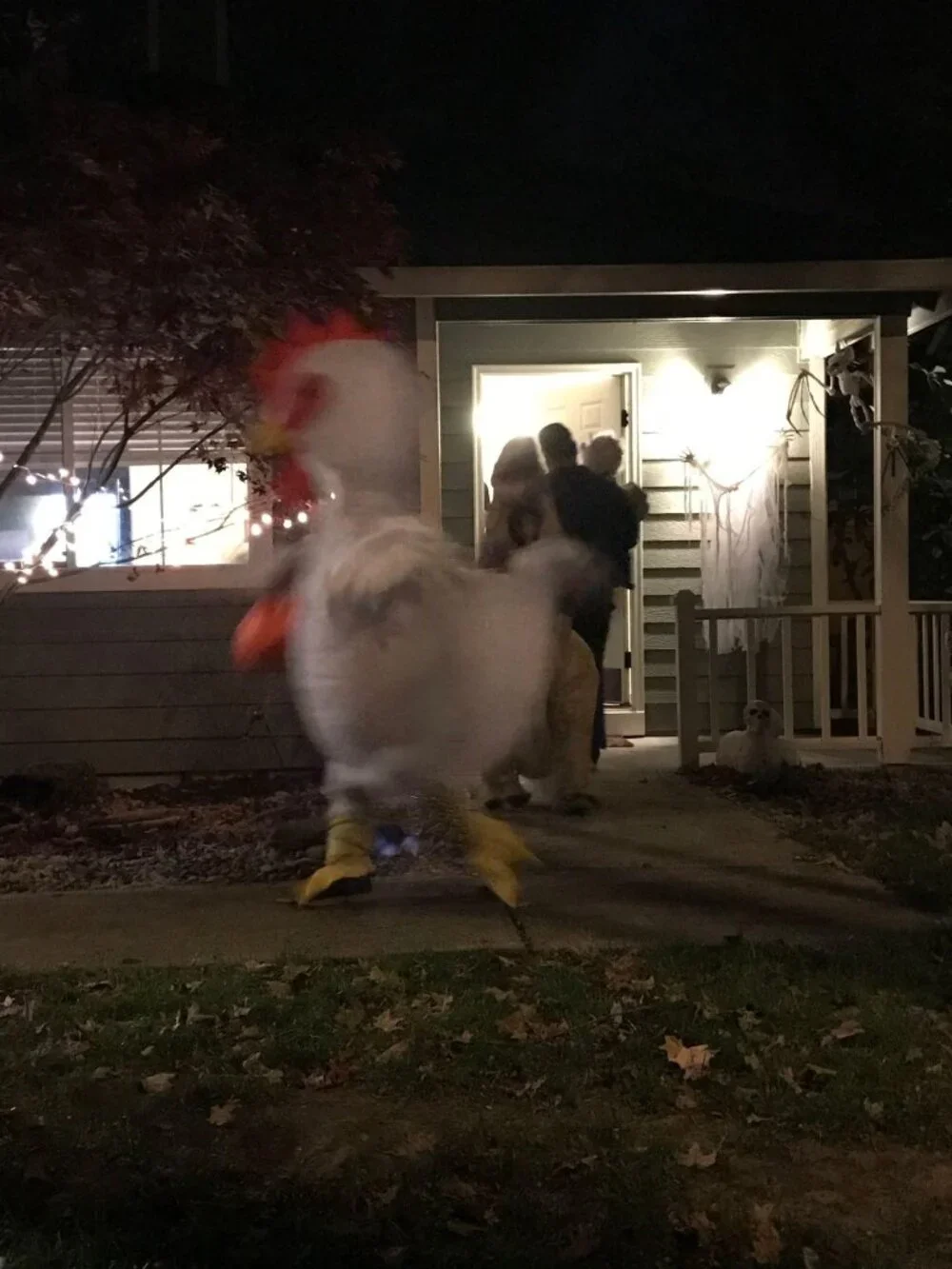 Kids chicken funny inflatable costume 6-10 years S